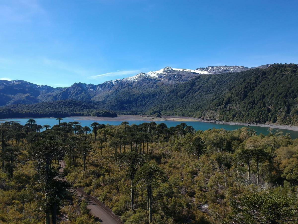 Antu Mahuida Domos Y Habitaciones Melipeuco Buitenkant foto