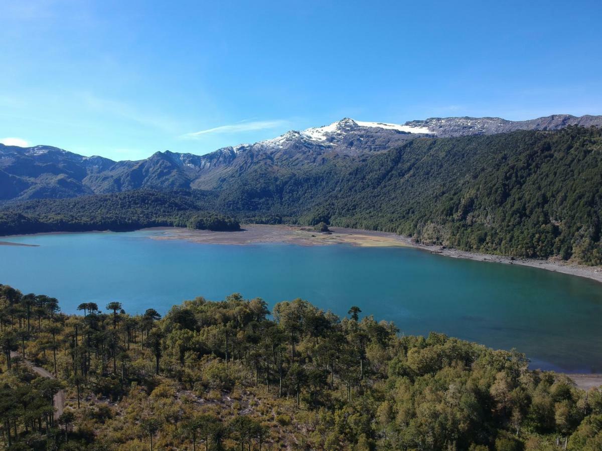 Antu Mahuida Domos Y Habitaciones Melipeuco Buitenkant foto